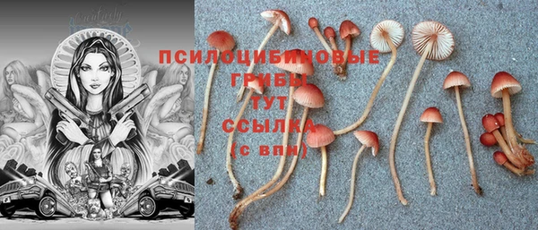 спиды Верхний Тагил